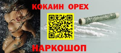 гидра Новозыбков