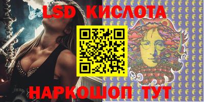 гидра Новозыбков