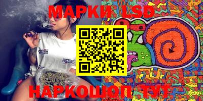 PSILOCYBIN Новокубанск
