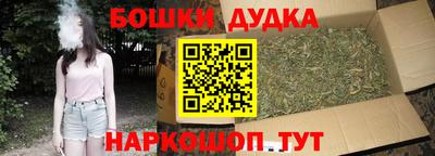 PSILOCYBIN Новокубанск