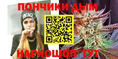 гидра Новозыбков