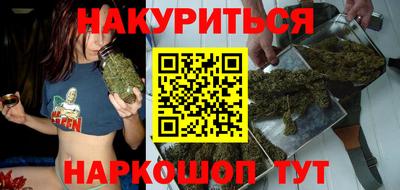 гидра Новозыбков