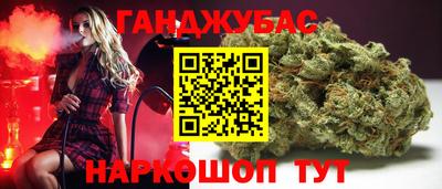 гидра Новозыбков