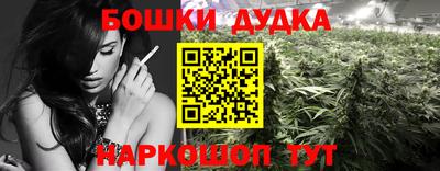 PSILOCYBIN Новокубанск