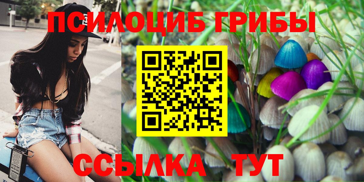 Галлюциногенные грибы Cubensis Тосно