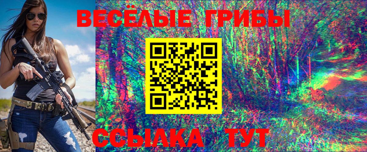 Тосно  Галлюциногенные грибы Psilocybe  Вход с VPN 
